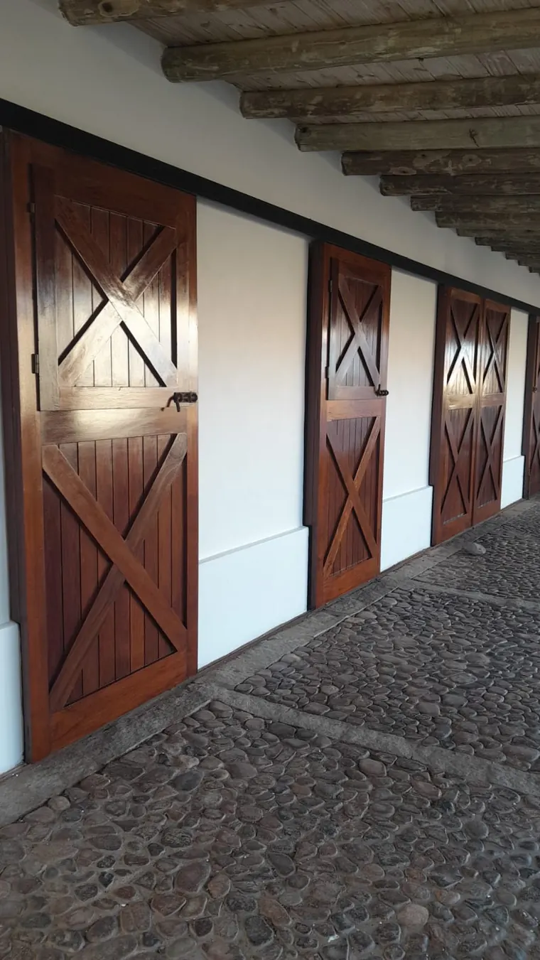 Puertas y aberturas barnizadas